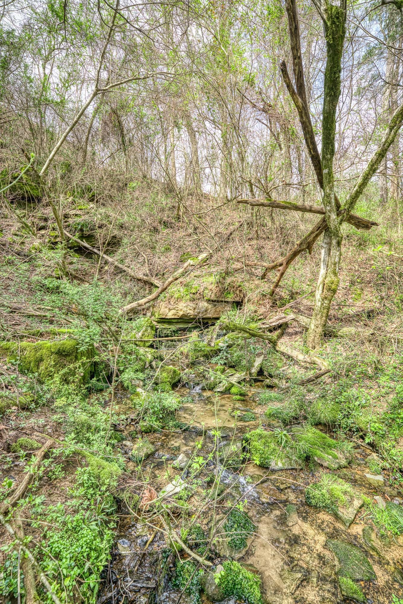272 Cherry Creek Road Sparta, TN 38583 - Photo 25 of 43 Gallery Image 25