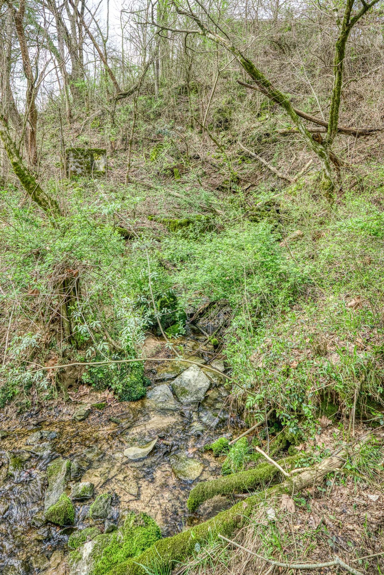 272 Cherry Creek Road Sparta, TN 38583 - Photo 4 of 43 Gallery Image 4