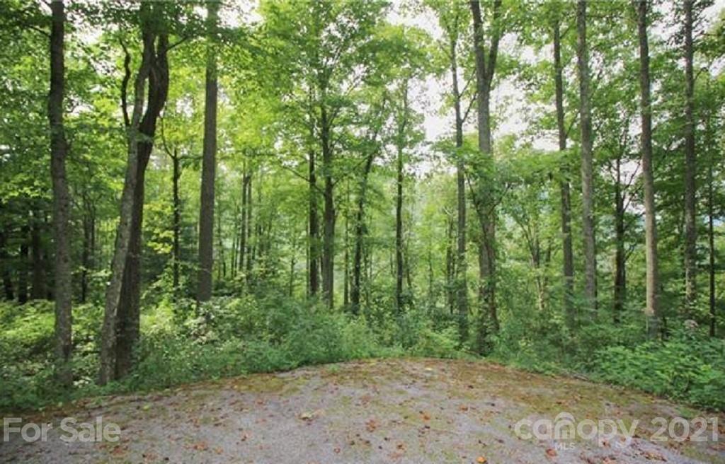 99999 Winding Ridge Road, Unit 1 Fairview, NC 28730 - Photo 1 of 2 Gallery Image 1