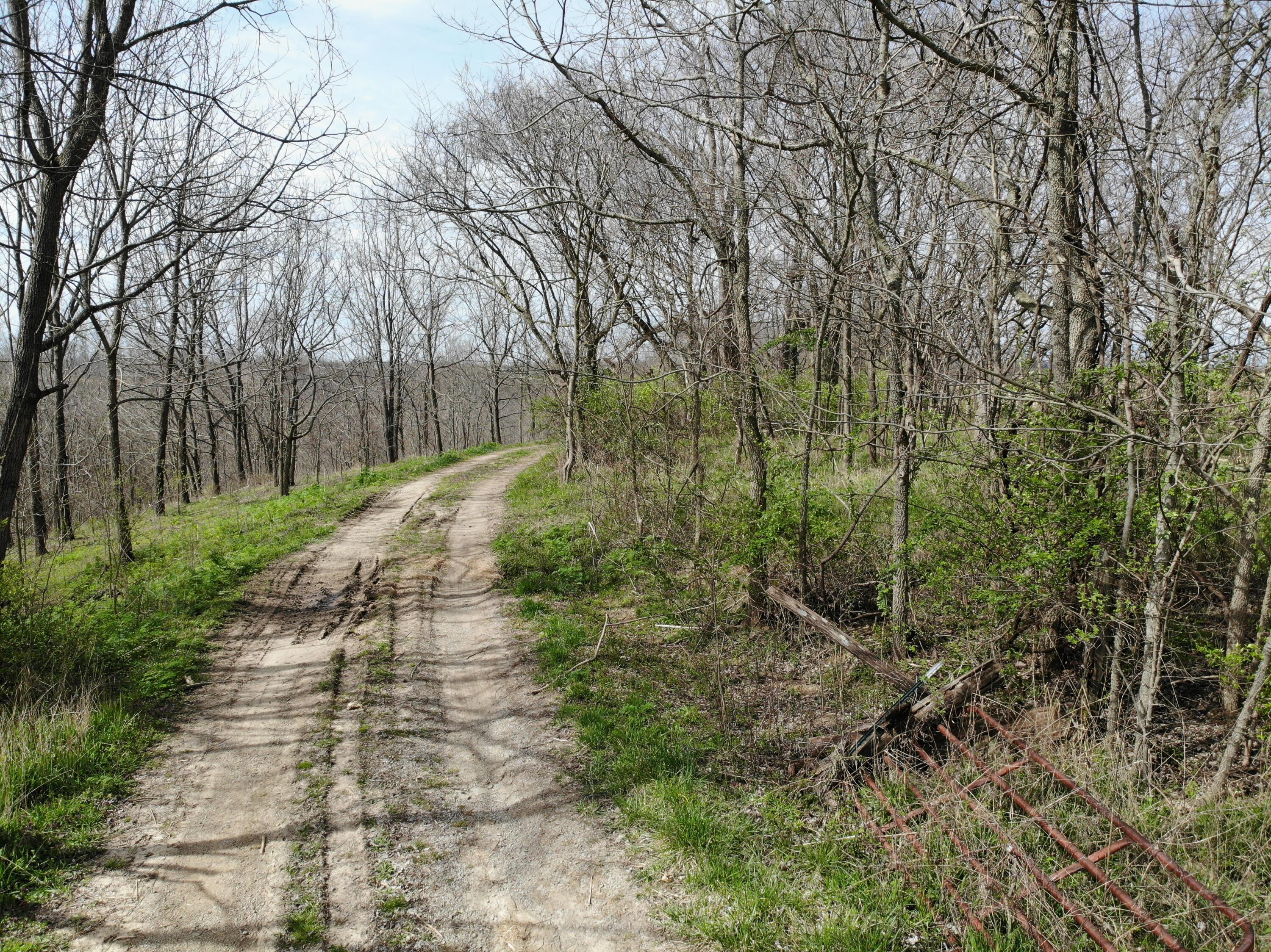 3818 Buckeye Road Lancaster, KY 40444 - Photo 16 of 23 DJI_0890