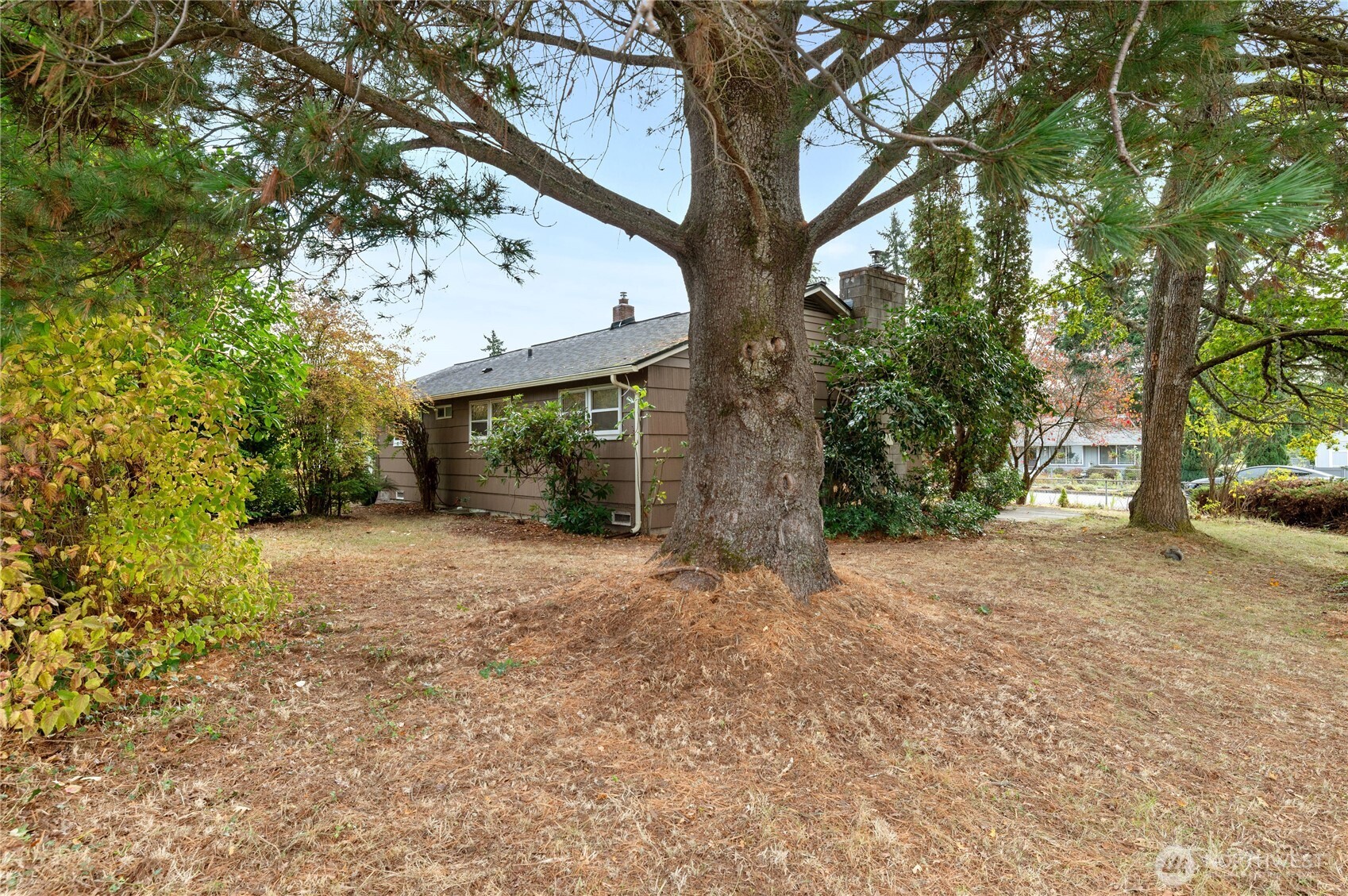 944 East 30th Street Bremerton, WA 98310 - Photo 21 of 21 a view of a yard with a tree