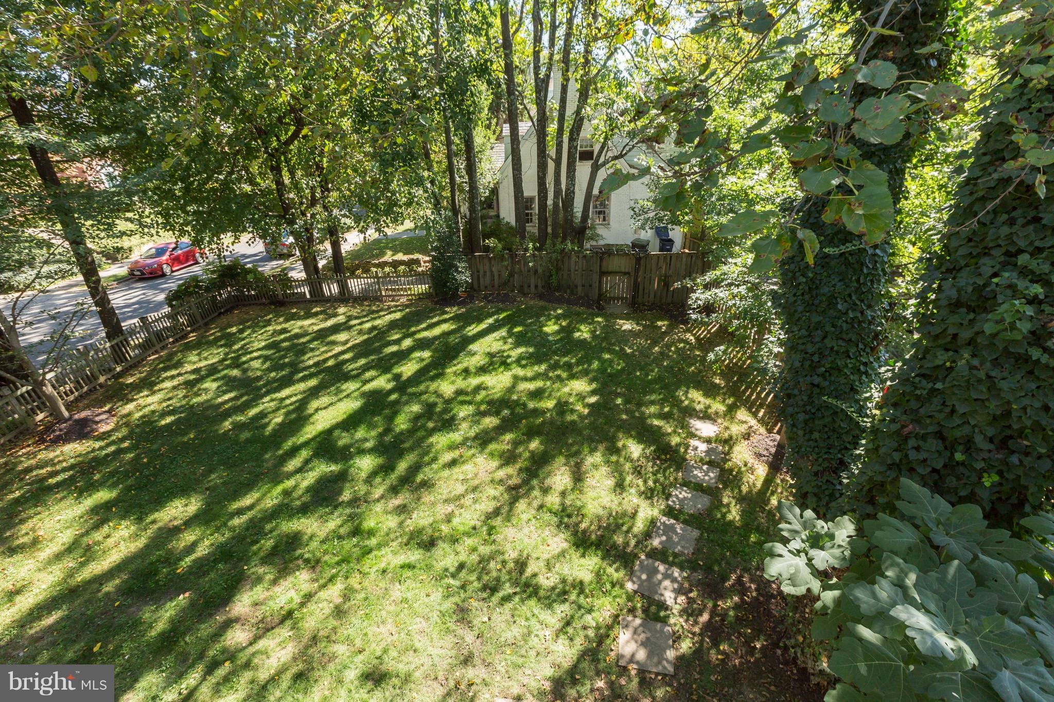 4926 43rd Place Northwest Washington, DC 20016 - Photo 20 of 23 a view of a tree with a tree