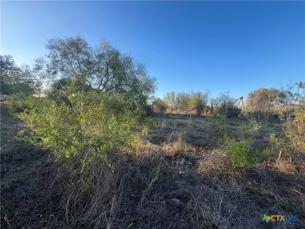 0 Laso Road Goliad, TX 77963 - Photo 2 of 5 a view of a yard with a tree