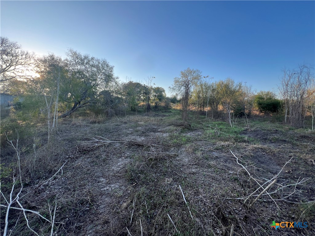 0 Laso Road Goliad, TX 77963 - Photo 3 of 5 a view of a yard