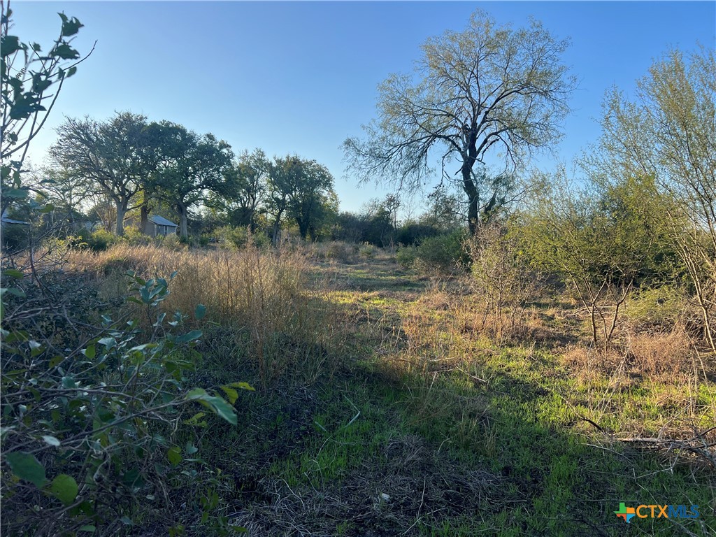 0 Laso Road Goliad, TX 77963 - Photo 5 of 5 a view of a lake view with houses in background
