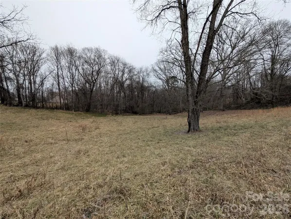 a view of a yard with trees in the background