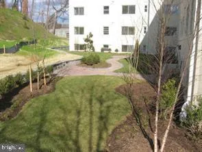 a view of back yard of the house