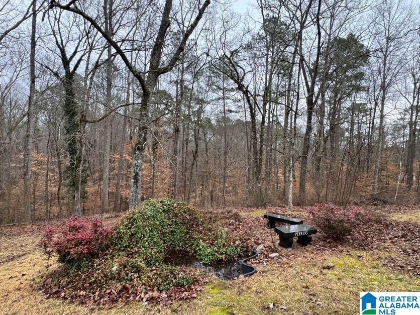 5121 Highway 9 Heflin, AL 36264 - Photo 42 of 54