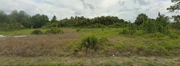 a view of a big yard with plants and large trees