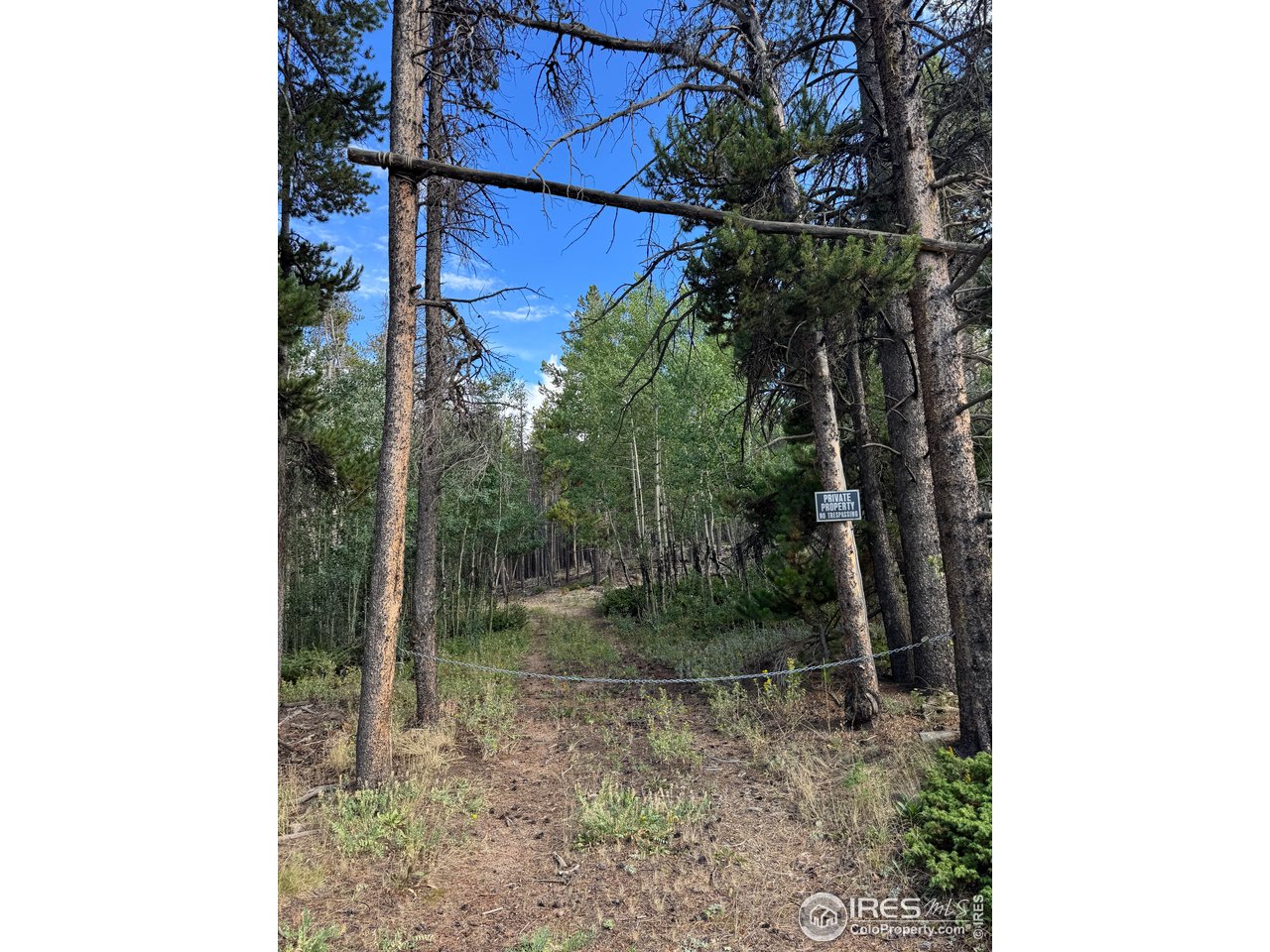 0 Magnolia Road Nederland, CO 80466 - Photo 5 of 14 Entrance to Your Secluded Hideaway!