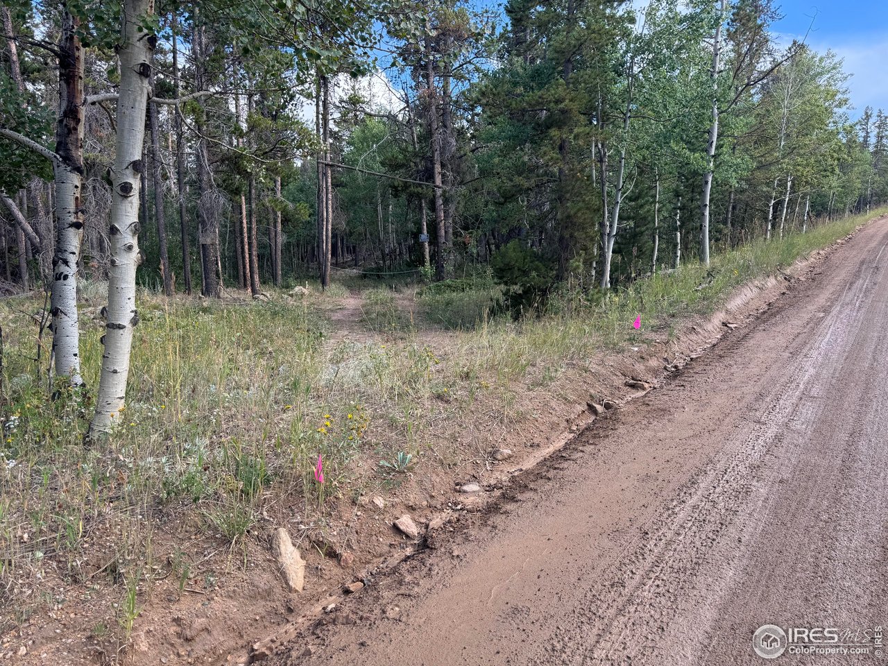 0 Magnolia Road Nederland, CO 80466 - Photo 6 of 14 Driveway is between the two pink flags near the sign.