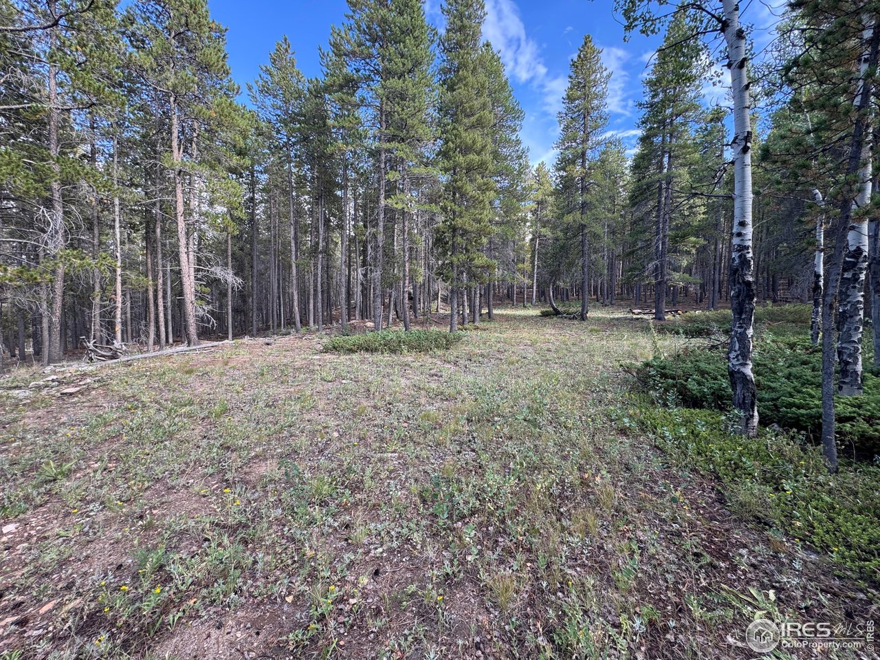 0 Magnolia Road Nederland, CO 80466 - Photo 8 of 14 Sweet, level spot, one building site option
