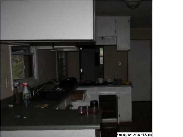 3373 Oakman Parrish Road Parrish, AL 35580 - Photo 4 of 8