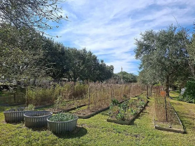 $535,000 | 14025 Oak Lane, Needville, TX 77461