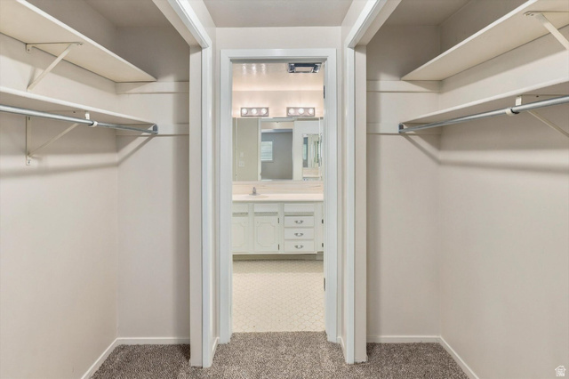 15295 North 5400th Street West Riverside, UT 84334 - Photo 26 of 54 Walk-in closet with carpet flooring, shelving, and hanging rods