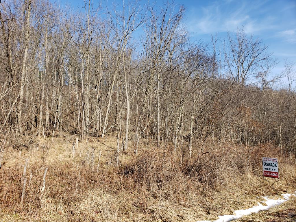 Lot 9 Sugar Run Road Littleton, WV 26581 - Photo 1 of 6 Gallery Image 1