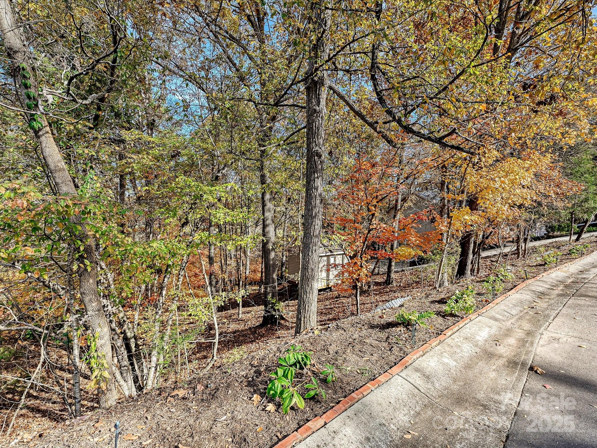 25040 Timberlake Drive Tega Cay, SC 29708 - Photo 39 of 40 a backyard of a house with lots of green space