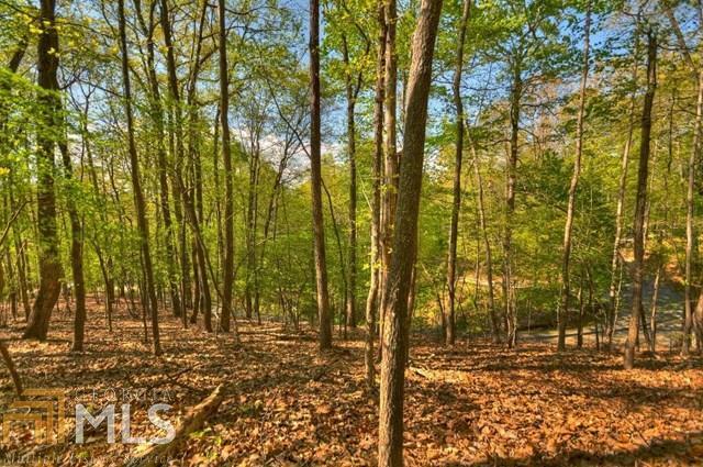 19 Green Ridge Mountain, Unit A Blue Ridge, GA 30513 - Photo 1 of 1