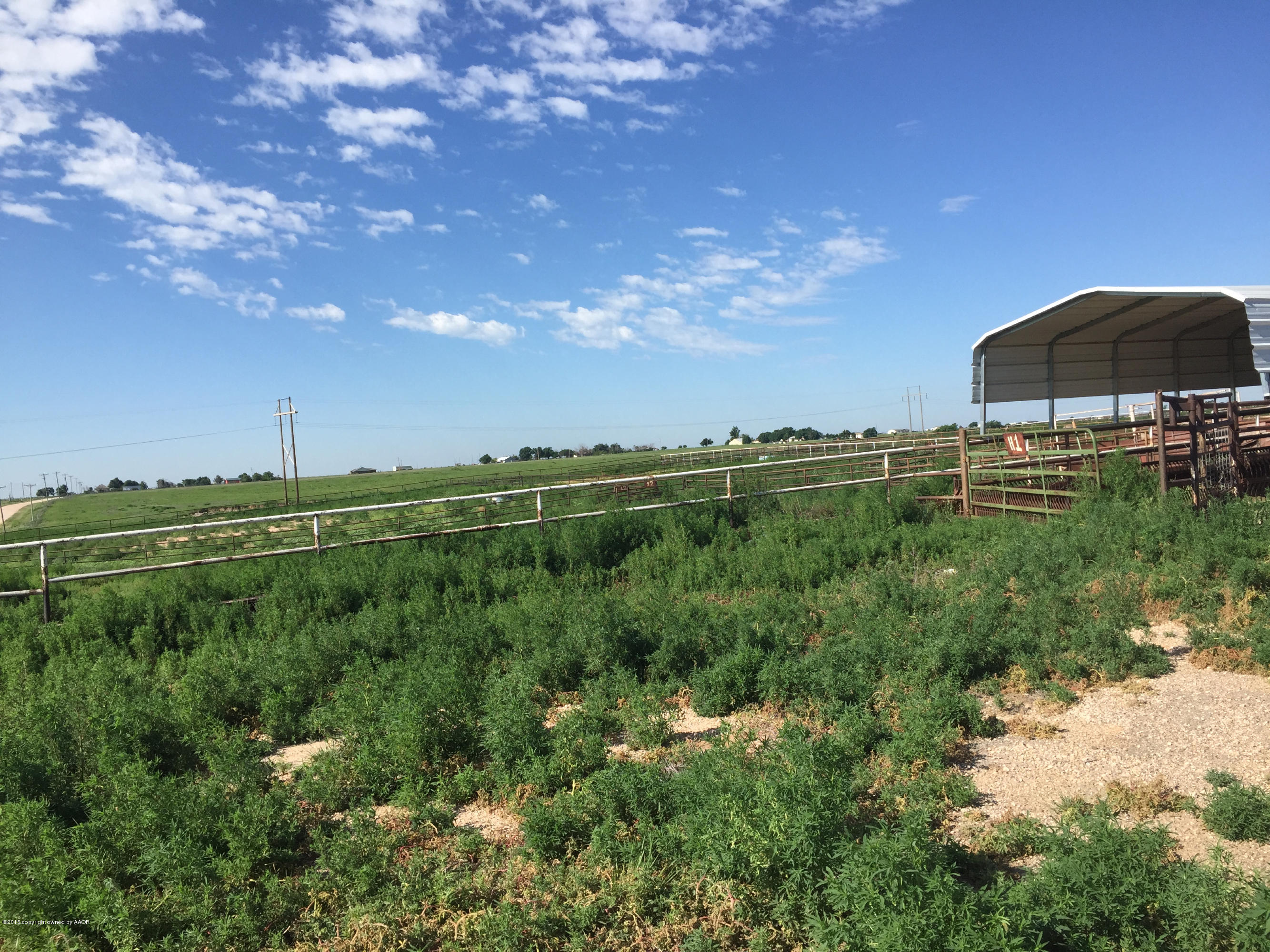 23012 Arnot Rd Canyon, TX 4
