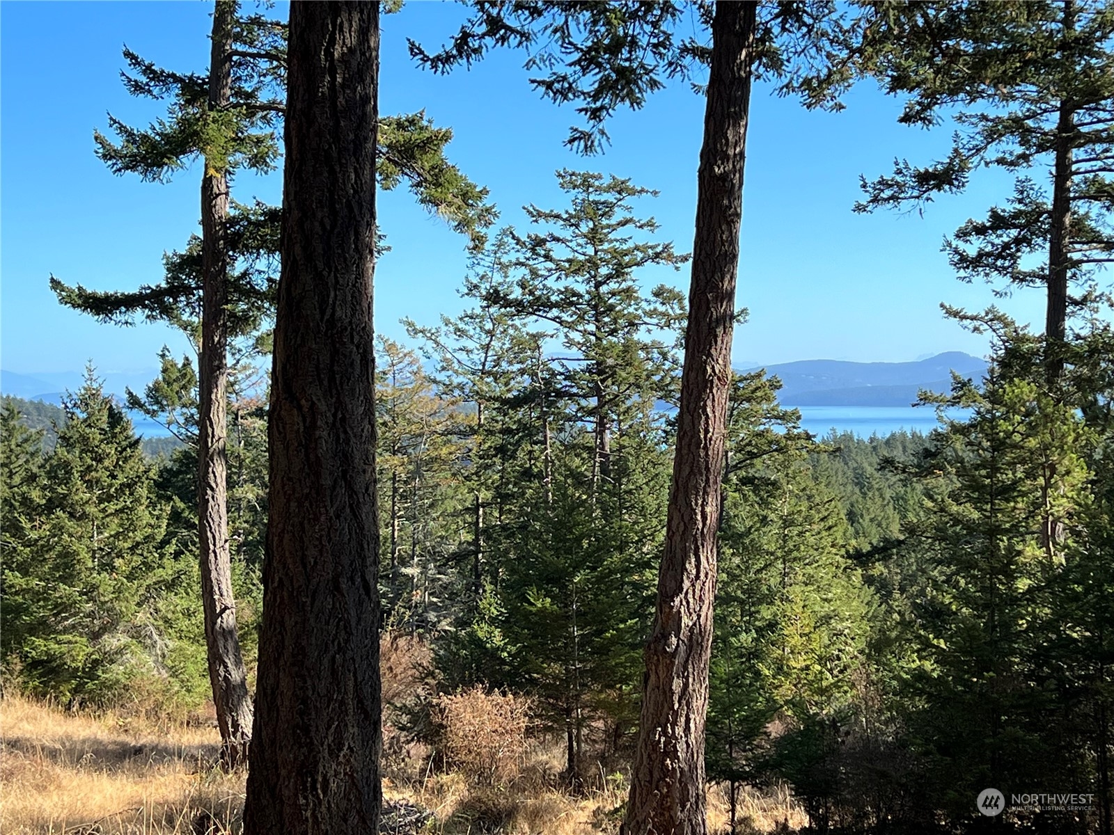 236 South Ridge Road Anacortes, WA 98221 - Photo 2 of 25 a view of a yard