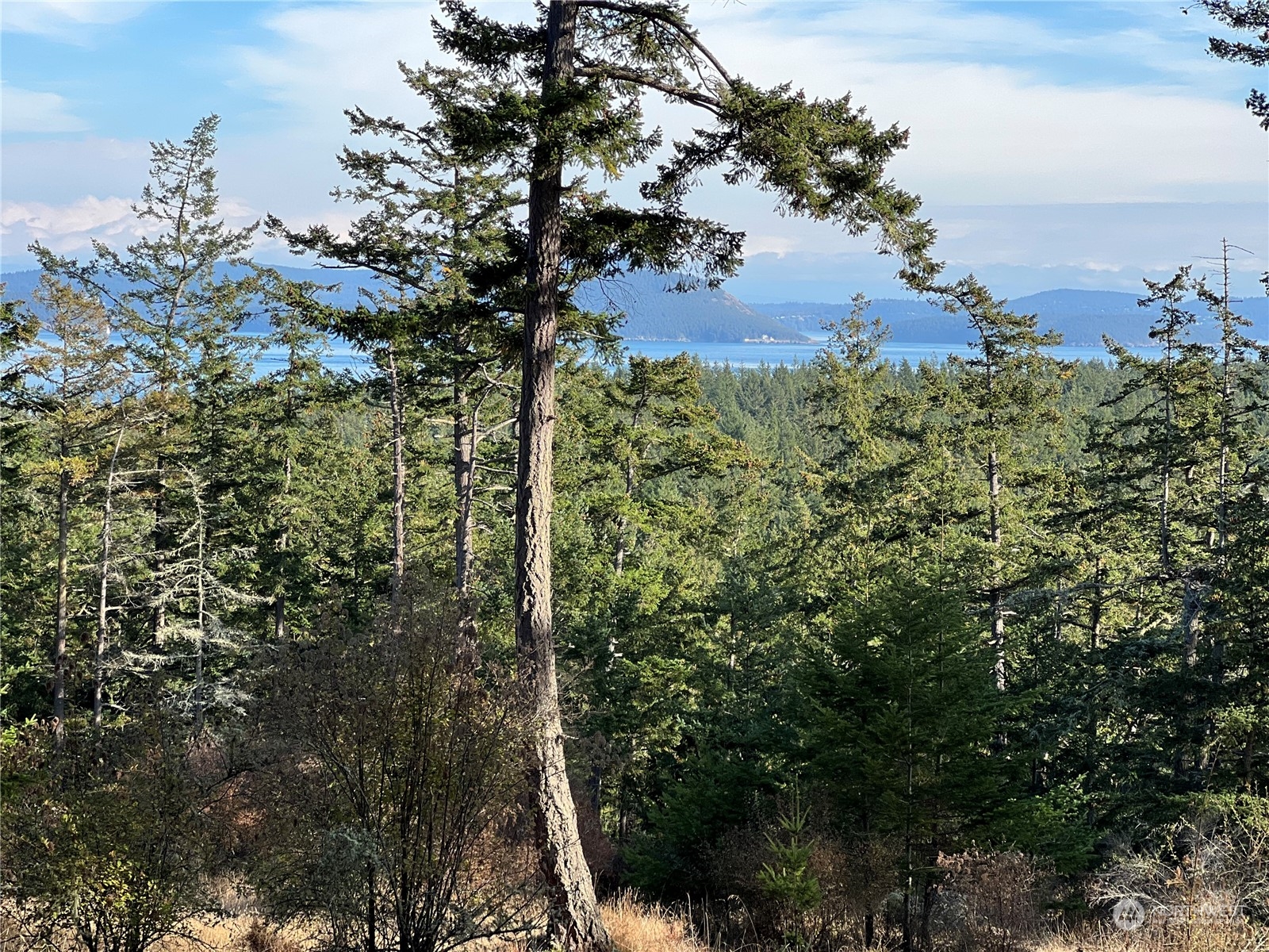 236 South Ridge Road Anacortes, WA 98221 - Photo 6 of 25 a view of a lake