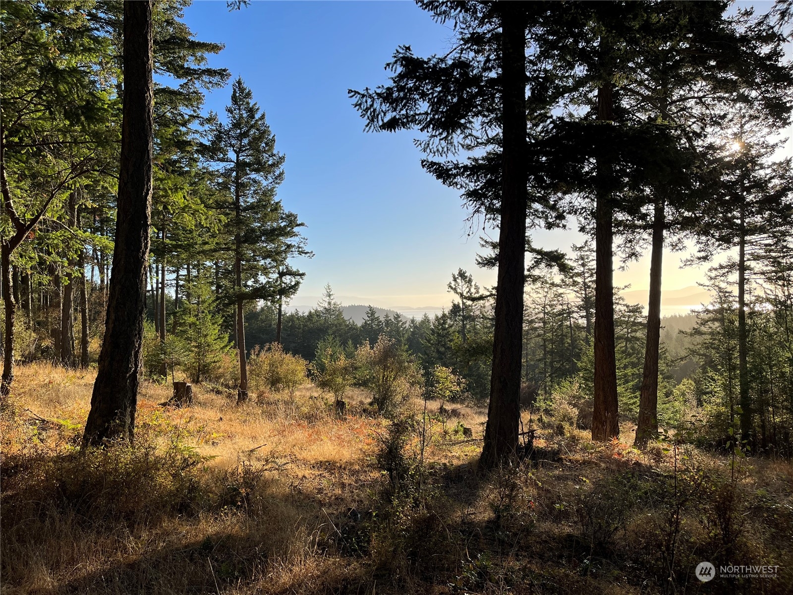 236 South Ridge Road Anacortes, WA 98221 - Photo 8 of 25 a view of outdoor space and yard