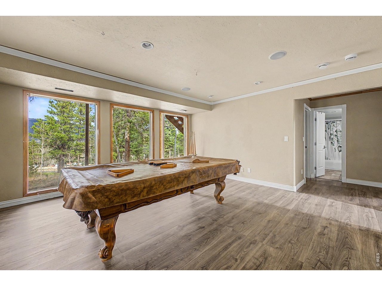 76 Highlands Drive Bailey, CO 80421 - Photo 19 of 49 a room with pool table and windows