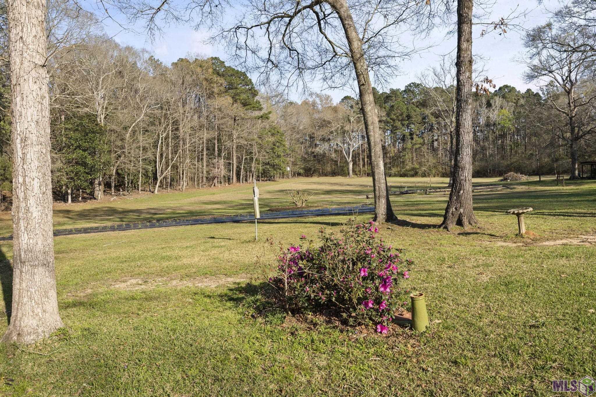 9821 Bank St Exn Clinton, LA 70722 - Photo 11 of 36