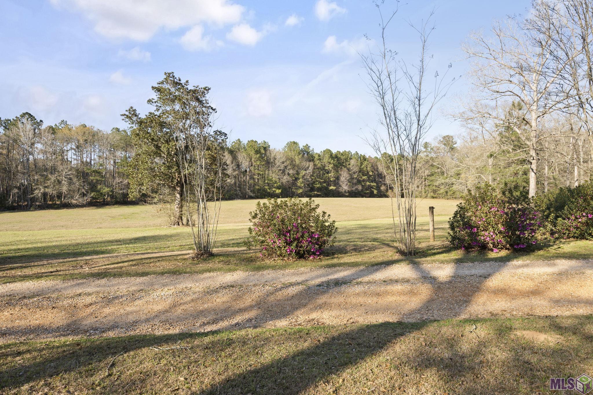 9821 Bank St Exn Clinton, LA 70722 - Photo 12 of 36