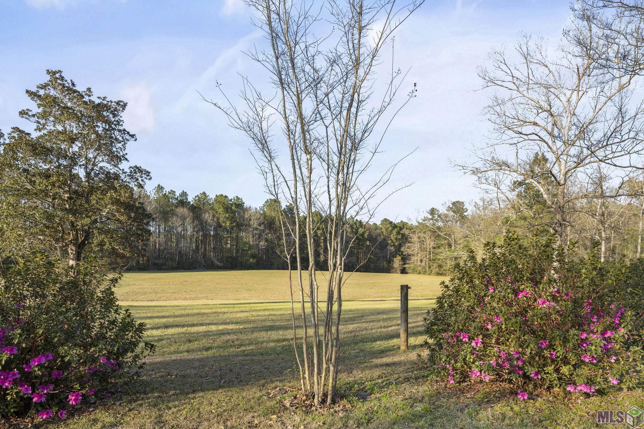 9821 Bank St Exn Clinton, LA 70722 - Photo 26 of 36