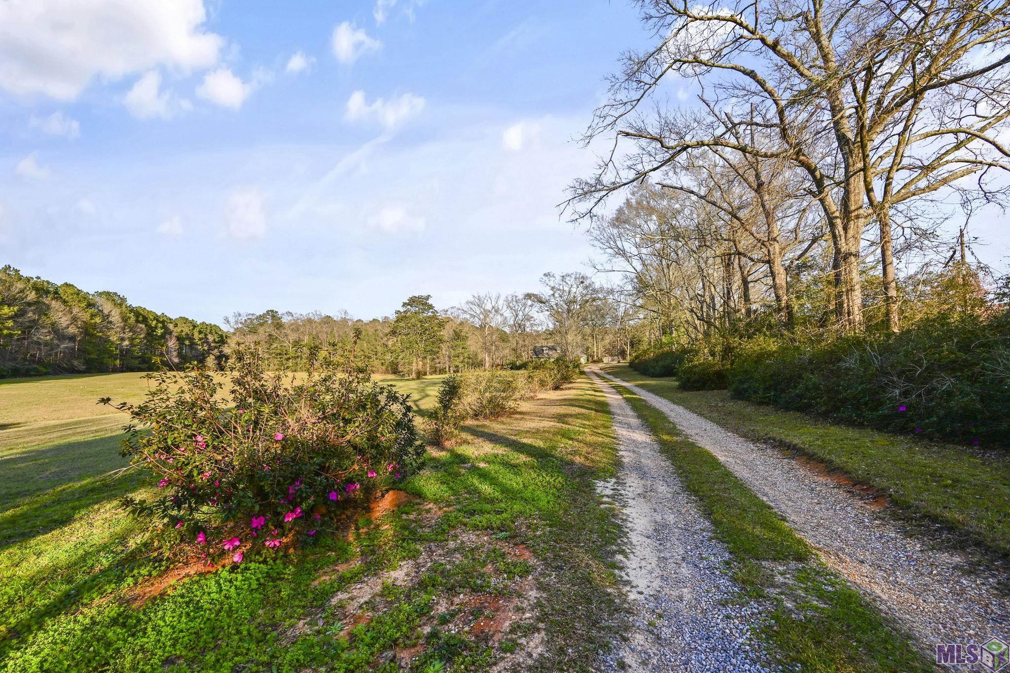 9821 Bank St Exn Clinton, LA 70722 - Photo 28 of 36