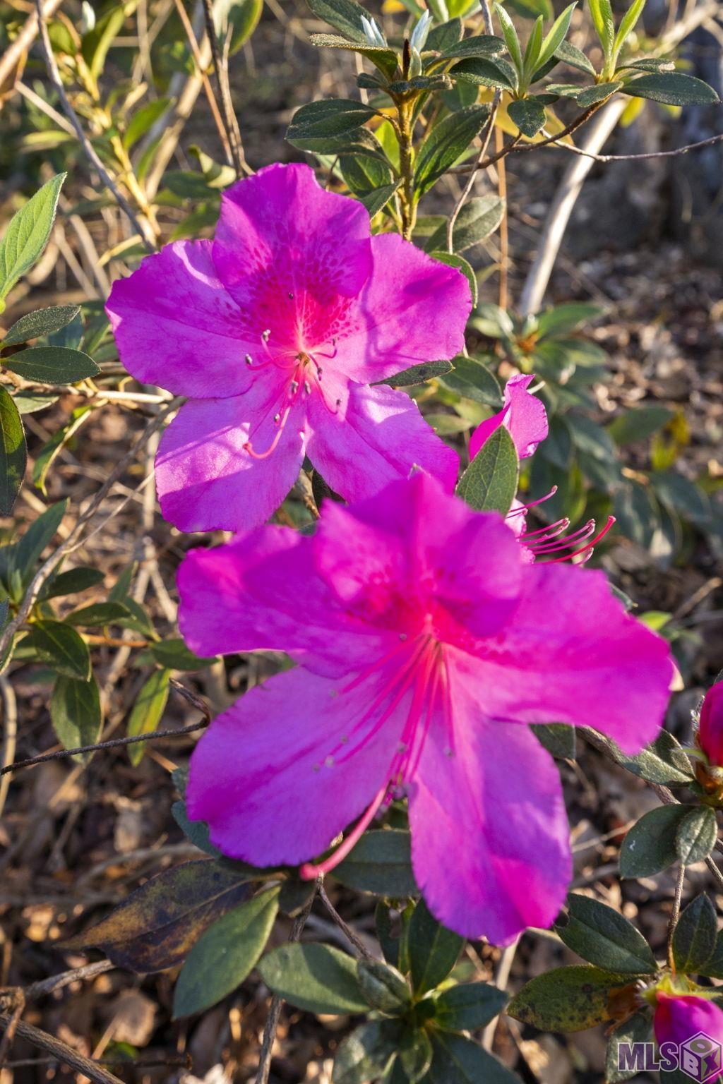 9821 Bank St Exn Clinton, LA 70722 - Photo 31 of 36