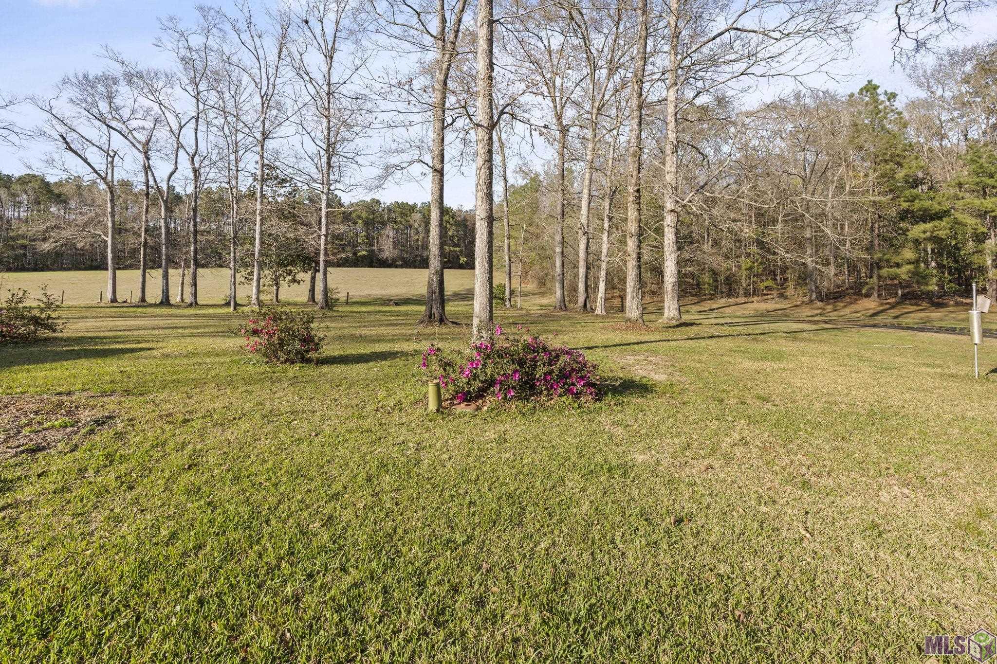 9821 Bank St Exn Clinton, LA 70722 - Photo 10 of 36