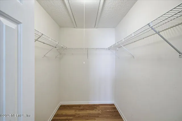 a view of a park with large trees