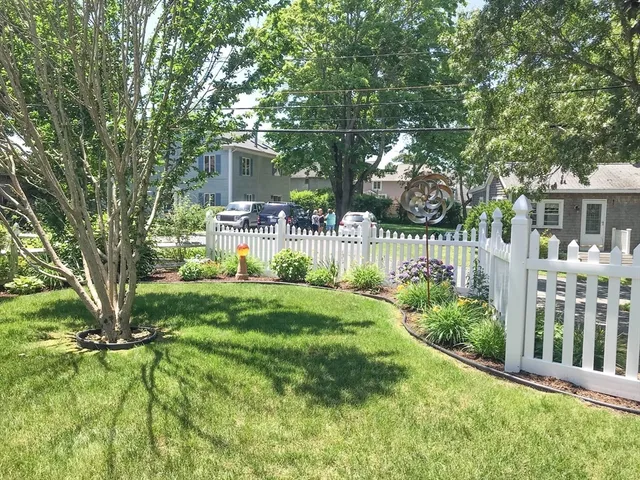a view of a yard with plants and a large tree