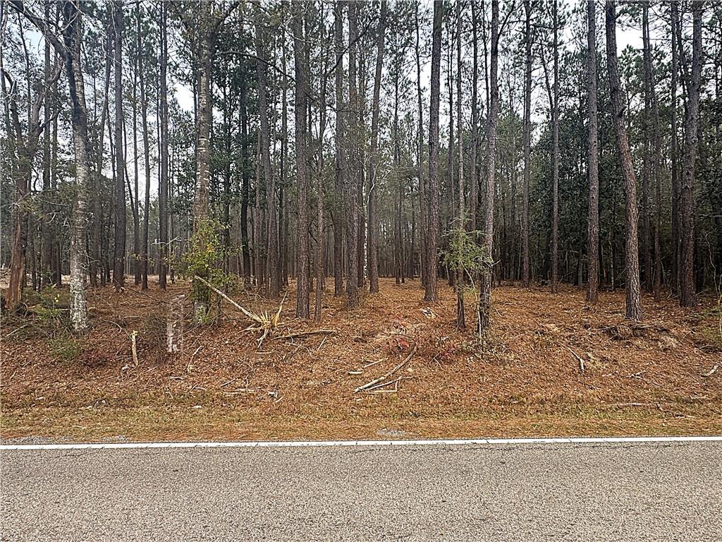 Lot B2 Lake Ramsey Road Covington, LA 70435 - Photo 3 of 4 Gallery Image 3