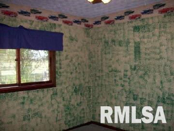 10440 East Rileyville Road Dix, IL 62830 - Photo 14 of 17