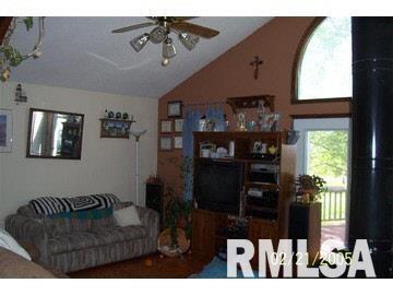 10440 East Rileyville Road Dix, IL 62830 - Photo 3 of 17