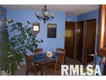 10440 East Rileyville Road Dix, IL 62830 - Photo 4 of 17
