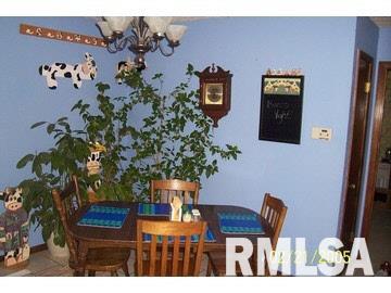 10440 East Rileyville Road Dix, IL 62830 - Photo 5 of 17