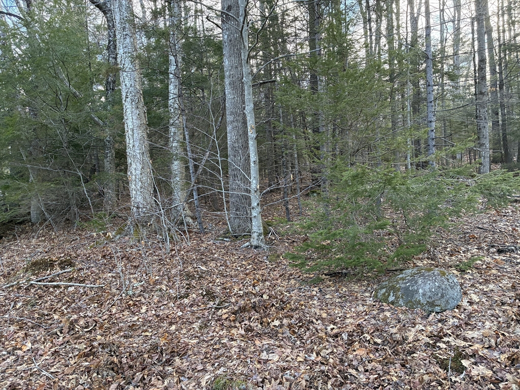 5 Leshures Road Rowe, MA 01367 - Photo 2 of 12