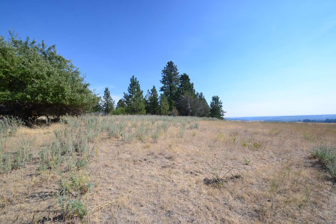 0 East Willow Springs Road Spokane, WA 99223 - Photo 1 of 20 Gallery Image 1