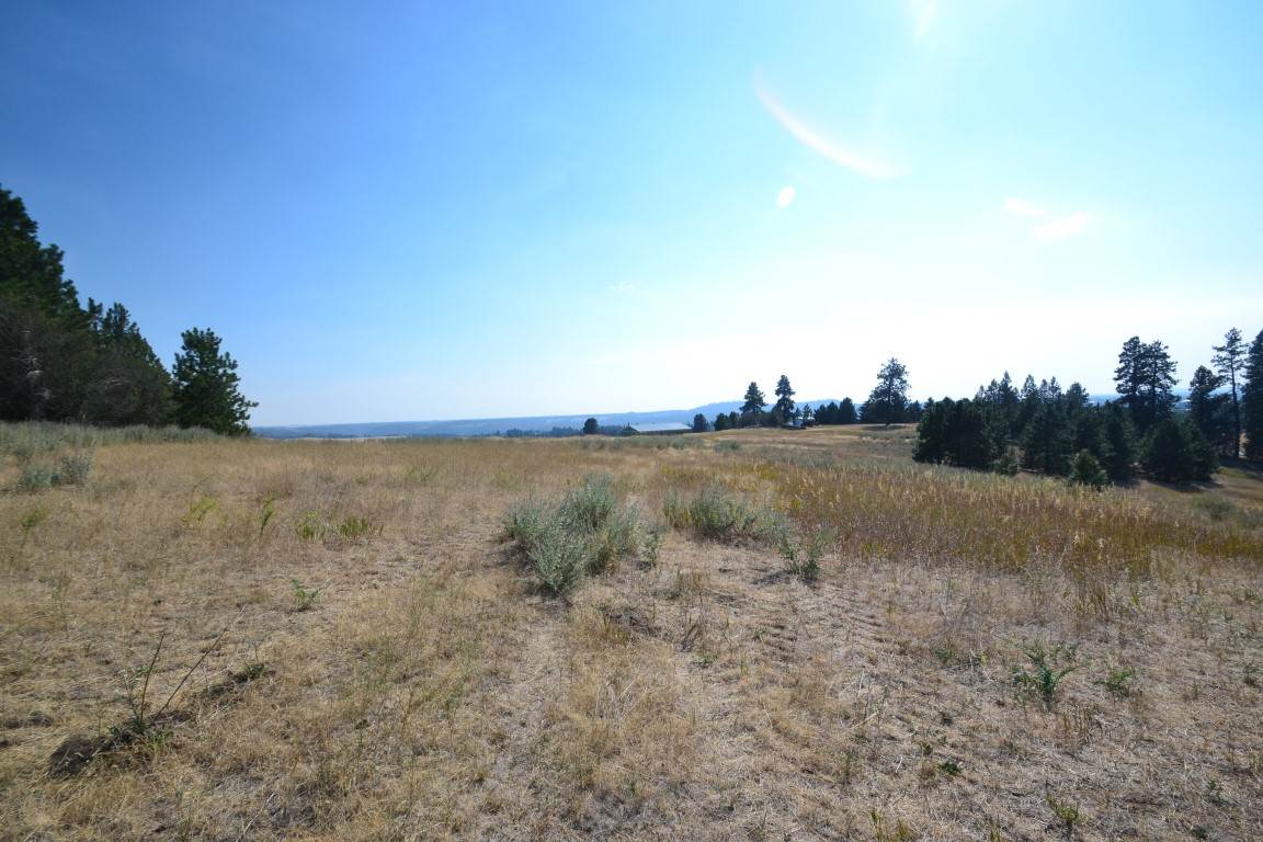 0 East Willow Springs Road Spokane, WA 99223 - Photo 2 of 20 Gallery Image 2