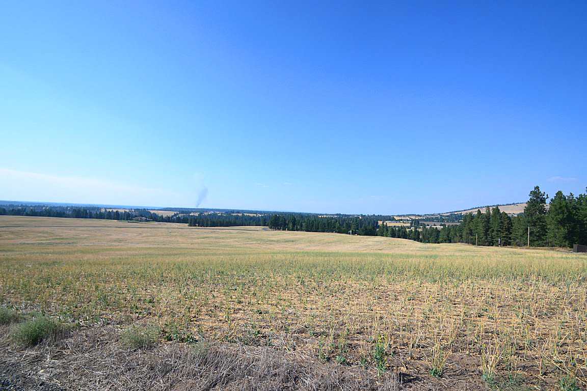 0 East Willow Springs Road Spokane, WA 99223 - Photo 12 of 20 Gallery Image 12