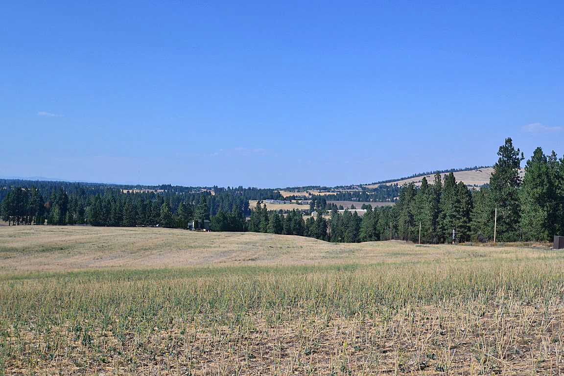 0 East Willow Springs Road Spokane, WA 99223 - Photo 13 of 20 Gallery Image 13