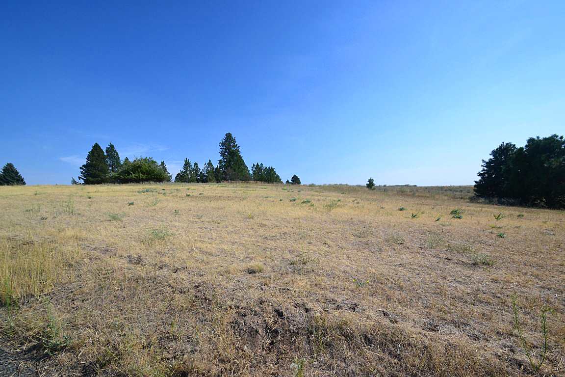 0 East Willow Springs Road Spokane, WA 99223 - Photo 14 of 20 Gallery Image 14