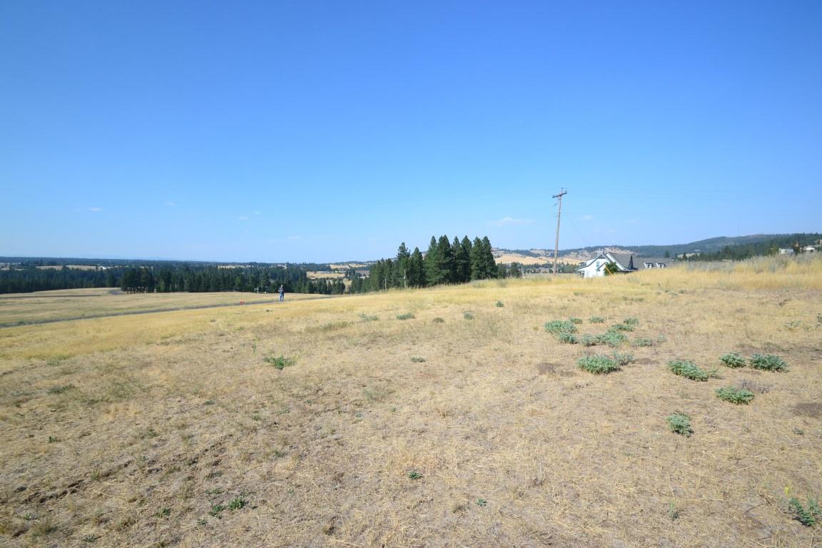 0 East Willow Springs Road Spokane, WA 99223 - Photo 16 of 20 Gallery Image 16