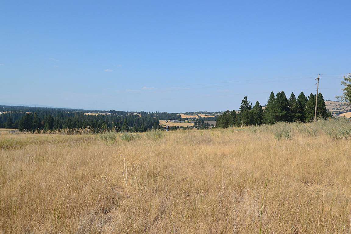 0 East Willow Springs Road Spokane, WA 99223 - Photo 17 of 20 Gallery Image 17