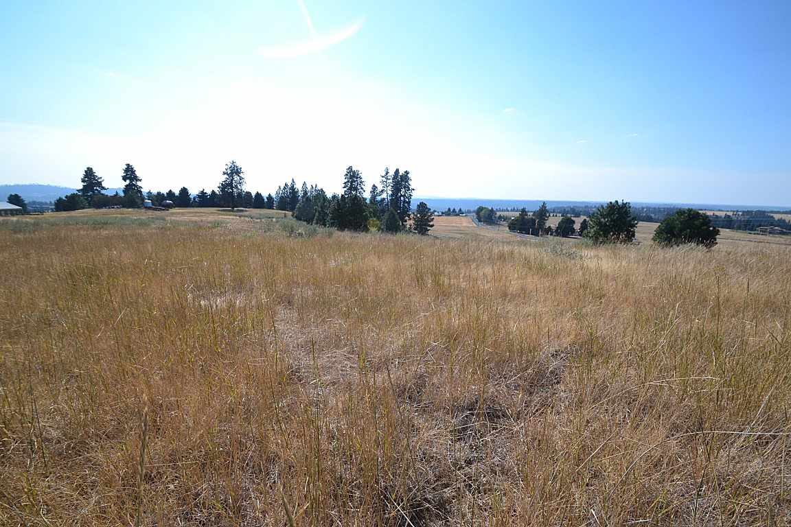0 East Willow Springs Road Spokane, WA 99223 - Photo 18 of 20 Gallery Image 18