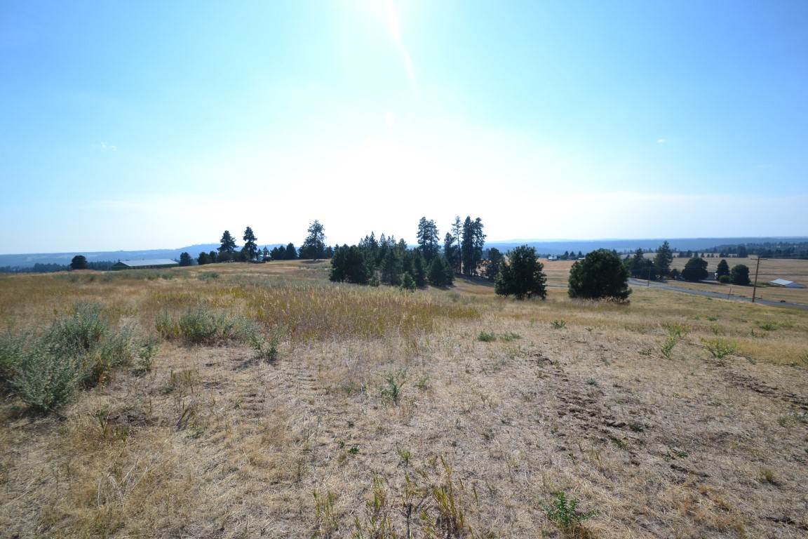 0 East Willow Springs Road Spokane, WA 99223 - Photo 3 of 20 Gallery Image 3